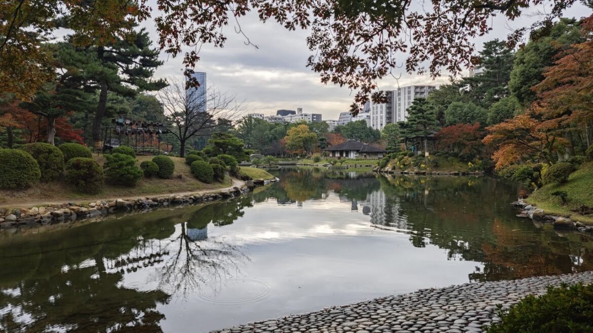 Shrunken Scenery Garden in Autumn: Shukkeien Garden Walk in Hiroshima