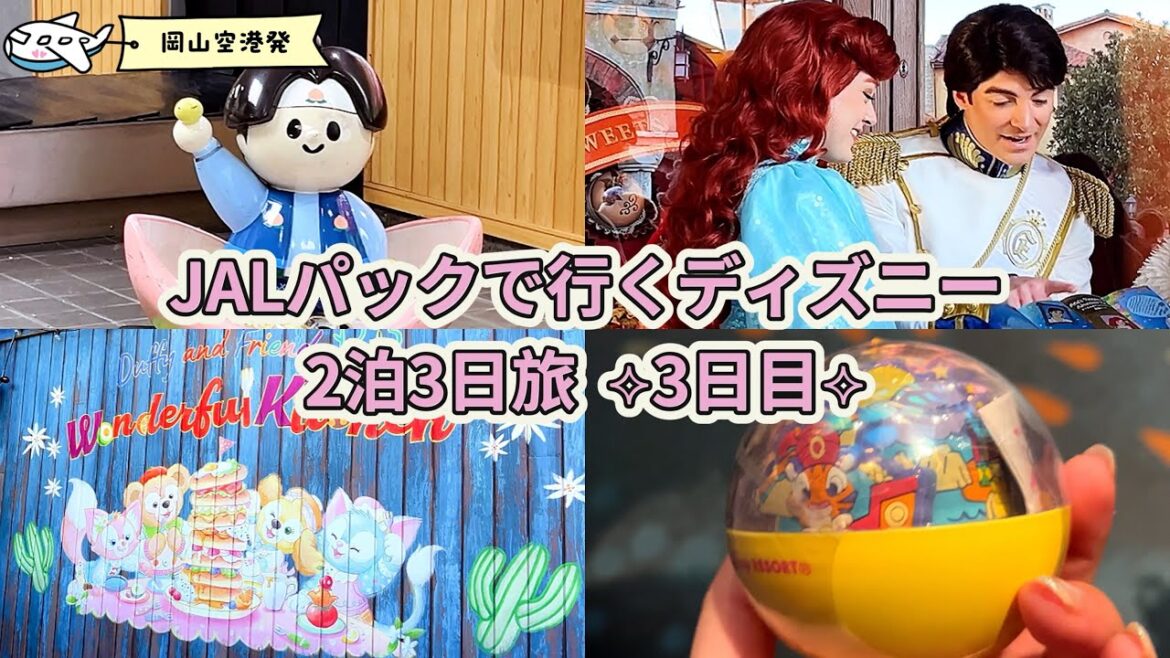 〖Vlog〗 岡山空港発 | JALパックで行くディズニー2泊3日旅(2/7~2/9) | ３日目 #32