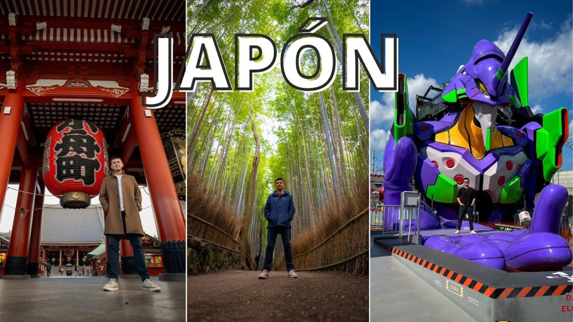 Por qué ir a Japón