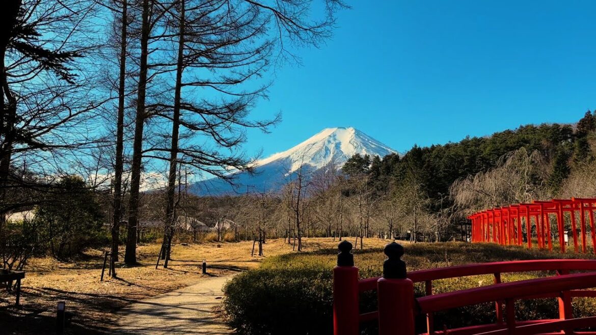 Mt Fuji & Hakone Cruise, with Bullet Train from Tokyo, Japan Mt Fuji & Hakone Cruise, with Bullet Train from Tokyo, Japan