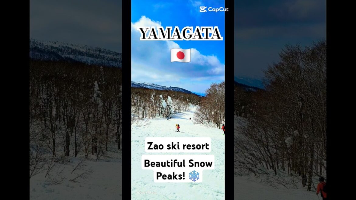 Beautiful Snow Peaks in Yamagata |Japan | zao ski resort #yamagata #snowmonster #skiresort