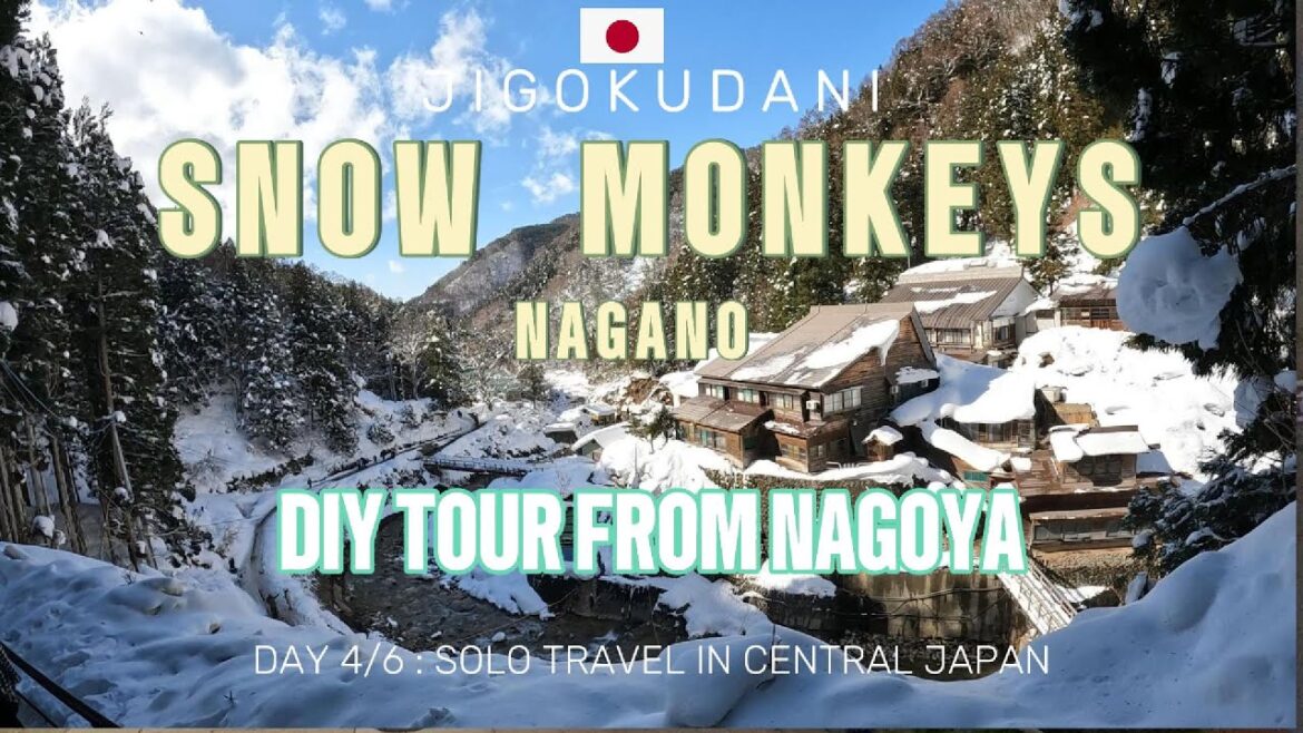 Jigokudani Snow Monkey Park DIY Tour