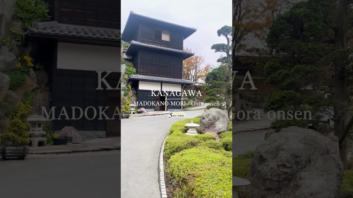 Madokano-mori (円かの杜)｜Hakone Gora Onsen,Kanagawa