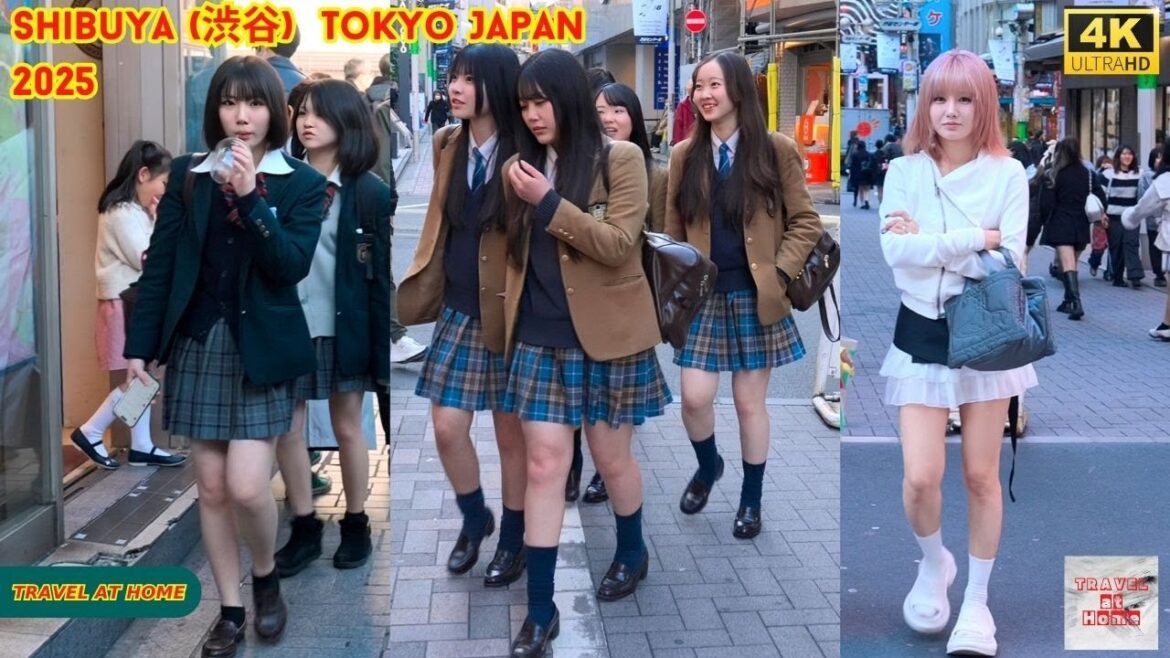 4k hdr Japan travel 2025 | Walk in Shibuya (渋谷) Tokyo Japan |  Relaxing Natural City ambience