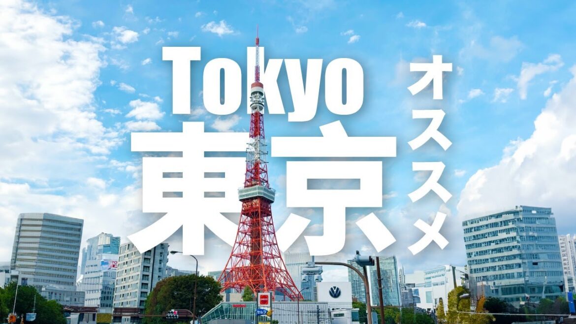 Have Fun in Tokyo Pass | Tokyo Dome City, Moomin Valley Park, Hakone Hot Spring, Misaki Maguro Tour