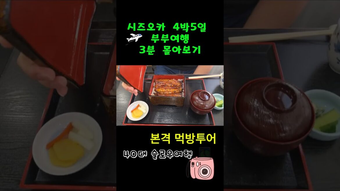 시즈오카 4박5일 여행 먹방여행  #travel #시즈오카여행 #40대여행 #부부여행