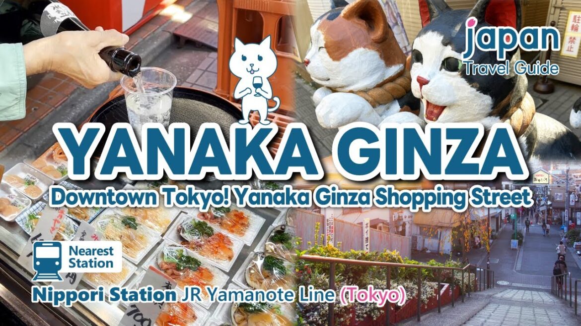 【YANAKA GINZA／tokyo】Yanaka Ginza Shopping Street, Eat Around, Sake, Japanesefood.｜Japan Travel Guide