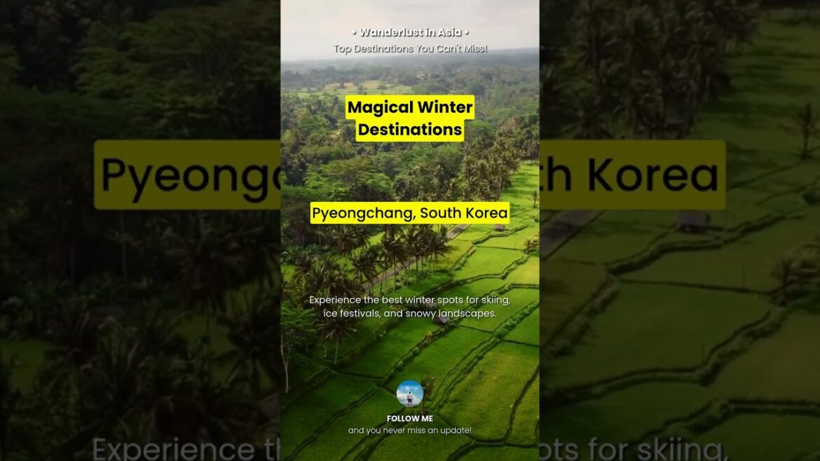 5. Wanderlust in Asia: Top Destinations You Can't Miss!