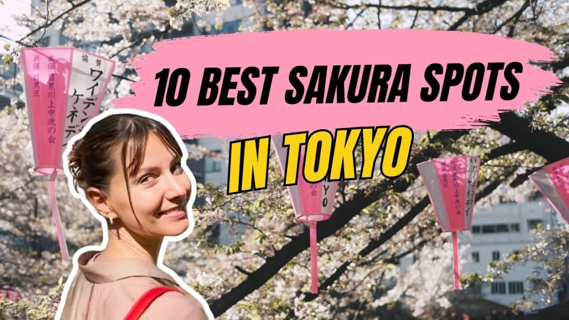 🌸 10 BEST Cherry Blossom Spots in Tokyo (Ranked!) | Where to See Sakura in 2025 🌸