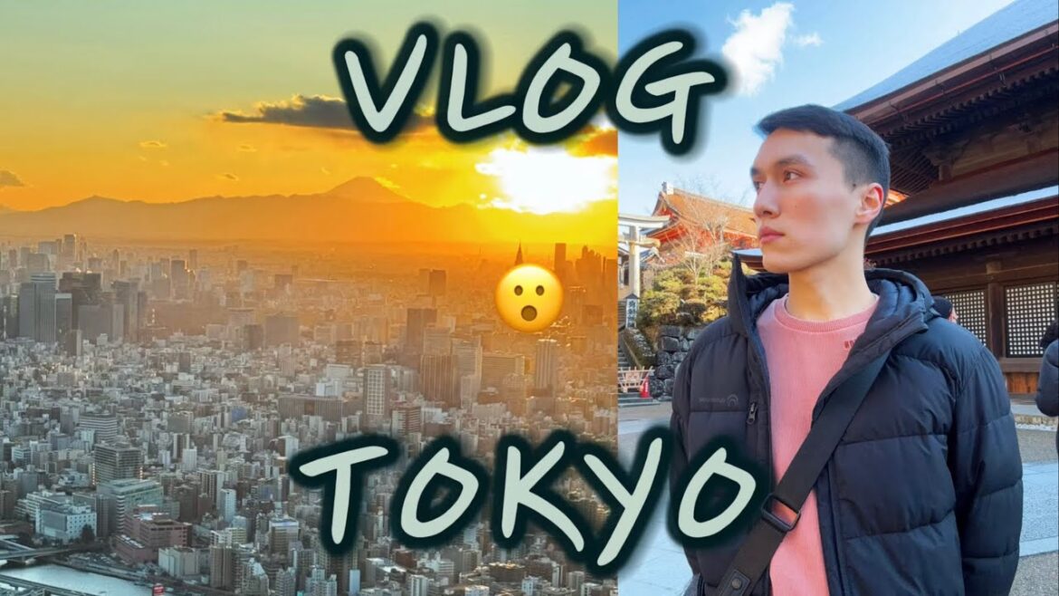 Впервые в Японии🇯🇵 Дорога до Токио🛩️ Обзор башен Tokyo Tower🗼 и Skytree😳