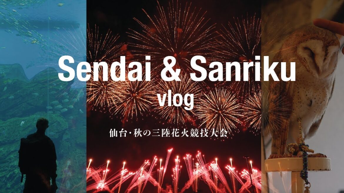 [Japan Road Trip] Sanriku Fireworks Festival | Cat Island, Aquarium, Bookstore BNB, Tokyo Owl Cafe