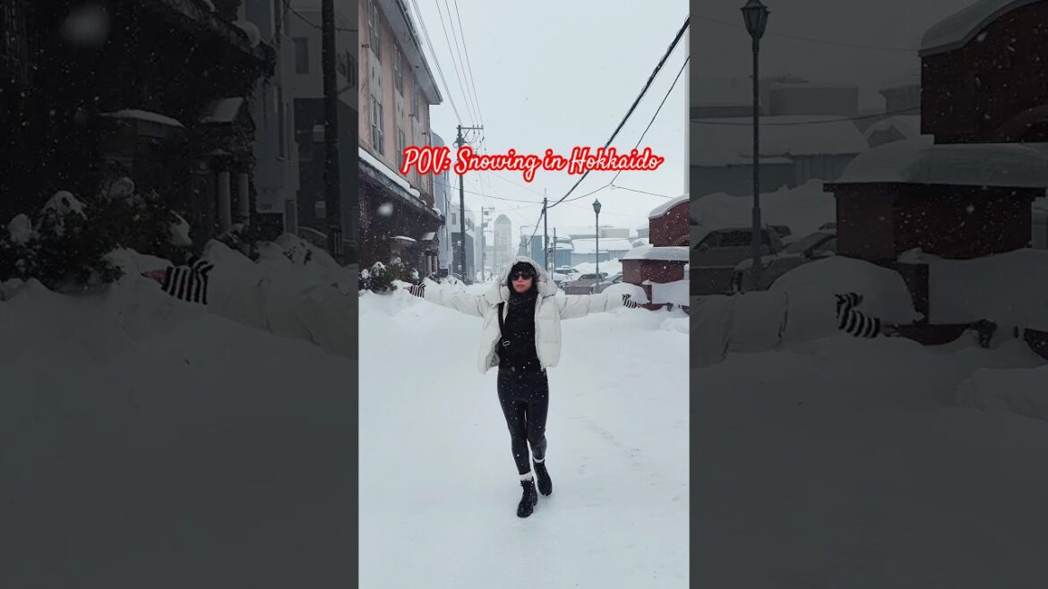 #hokkaido #snow #winter #travel #hokkaidotrip #japan #otaru #japantravel #explore #wintervibes