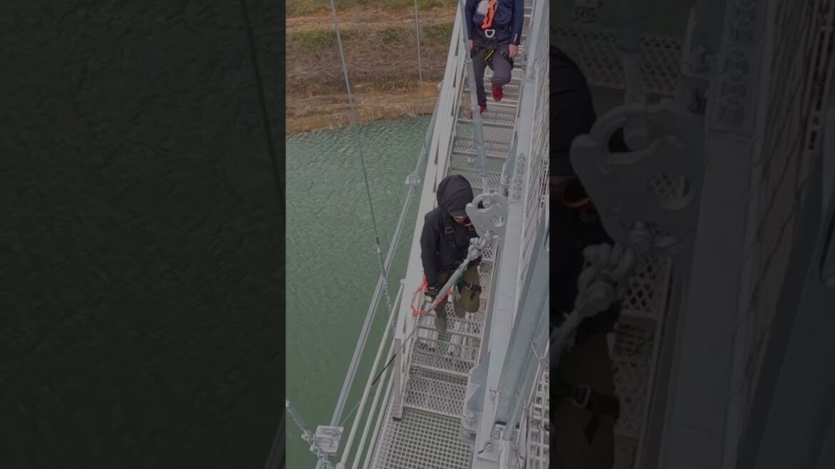 【日本最長420m歩行者専用つり橋】大阪府茨木市に誕生　バンジージャンプ凄い😱ワチキじゃないケロ😅 #日本一 #吊り橋 420m #ダムパークいばきた