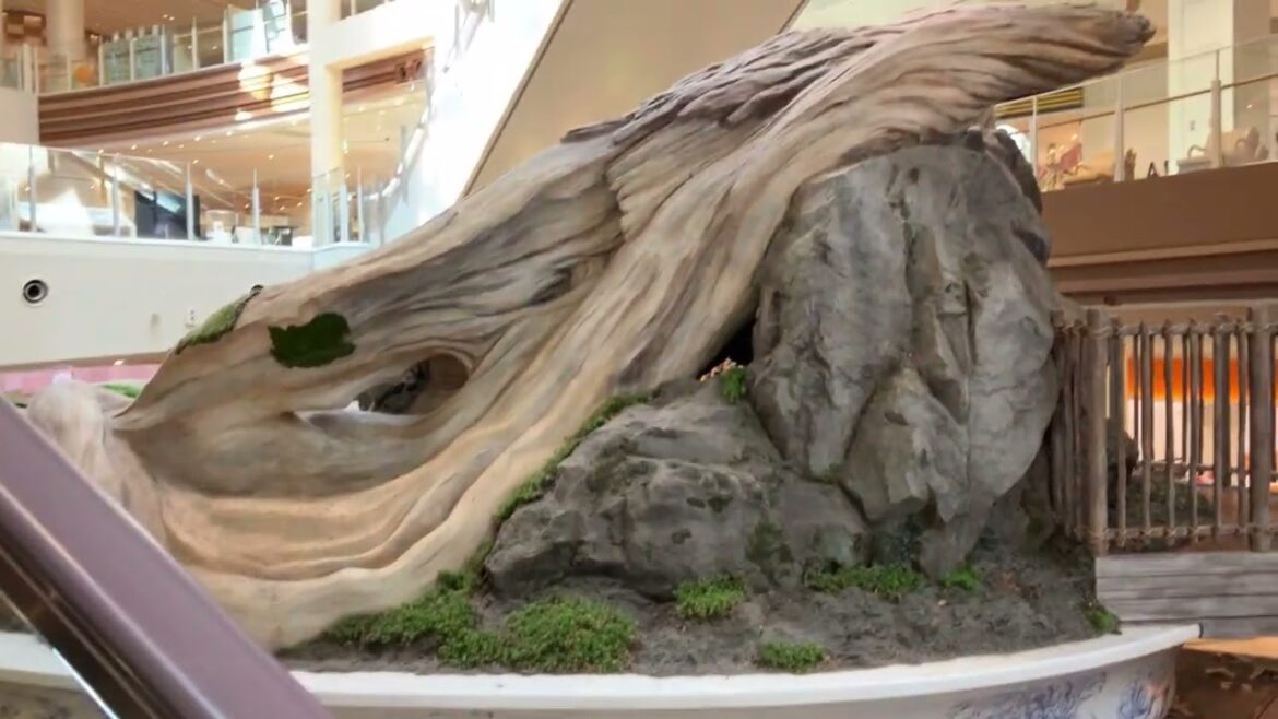 seven park ario kashiwa / Japan, chiba / joban line kashiwa station