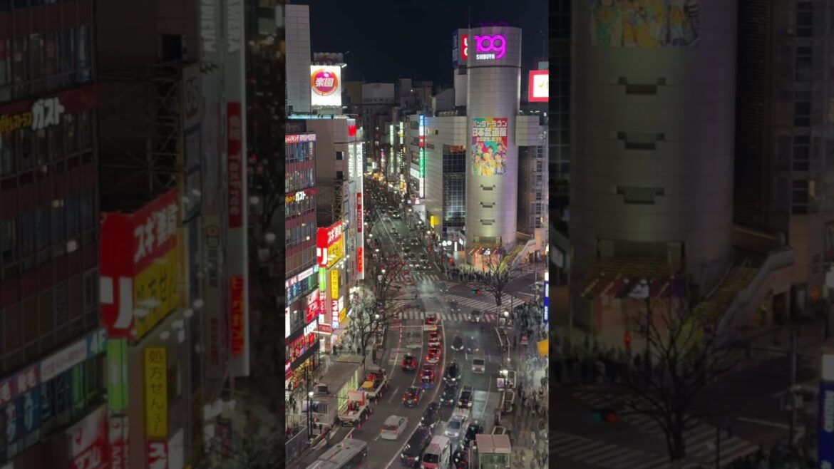 Is this intersection the most beautiful place in Tokyo? Is this intersection the most beautiful place in Tokyo?