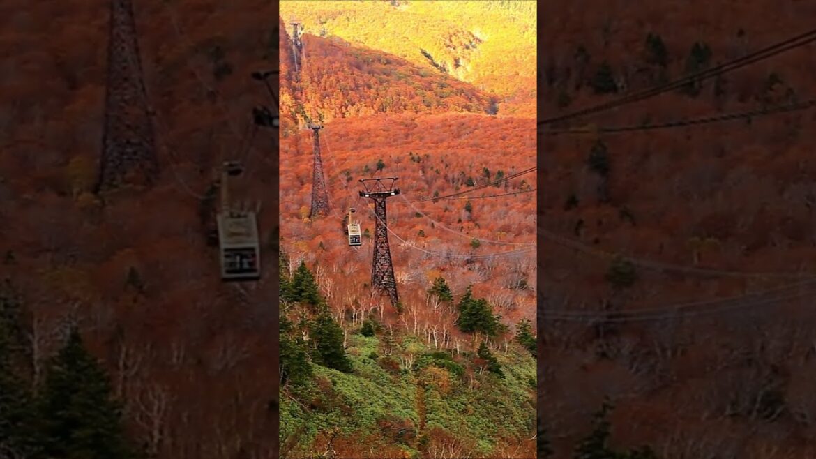 Experience Hakoda Ropeway’s BREATHTAKING Mountain Views NOW Experience Hakoda Ropeway's BREATHTAKING Mountain Views NOW