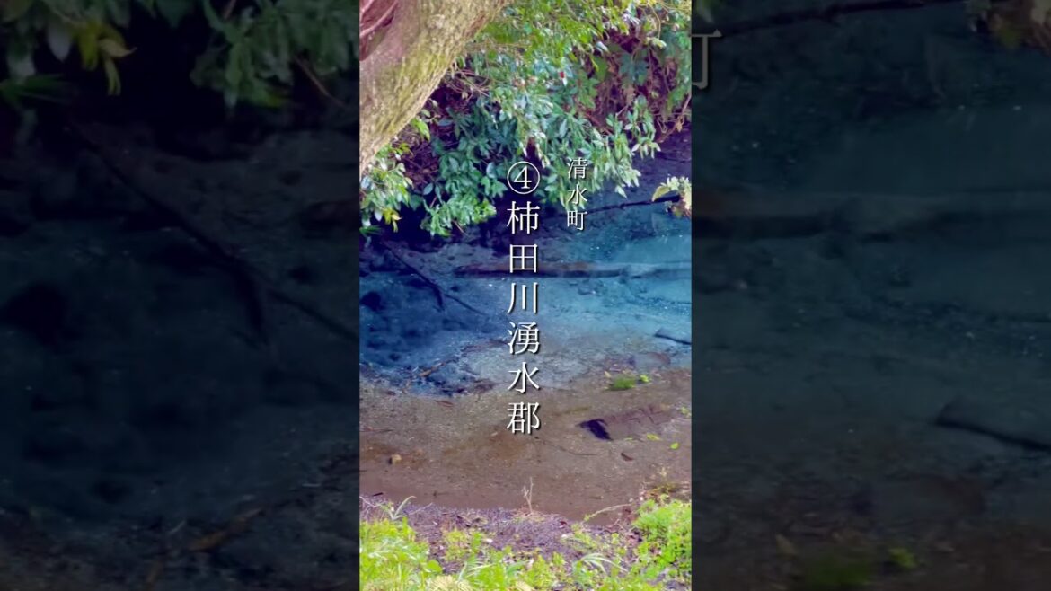 静岡のオススメ絶景スポット7選