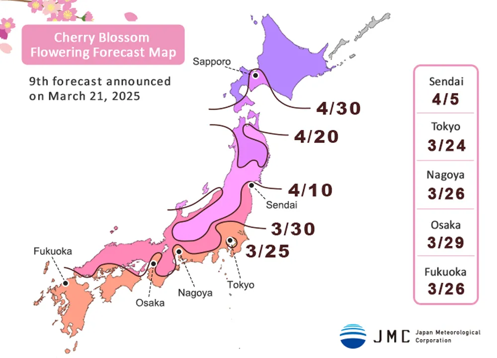 Sakura forecast 2025