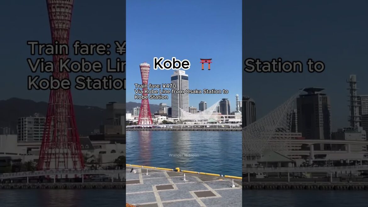 Day trips you can take for 1,000 yen outside Osaka ⛩️🇯🇵