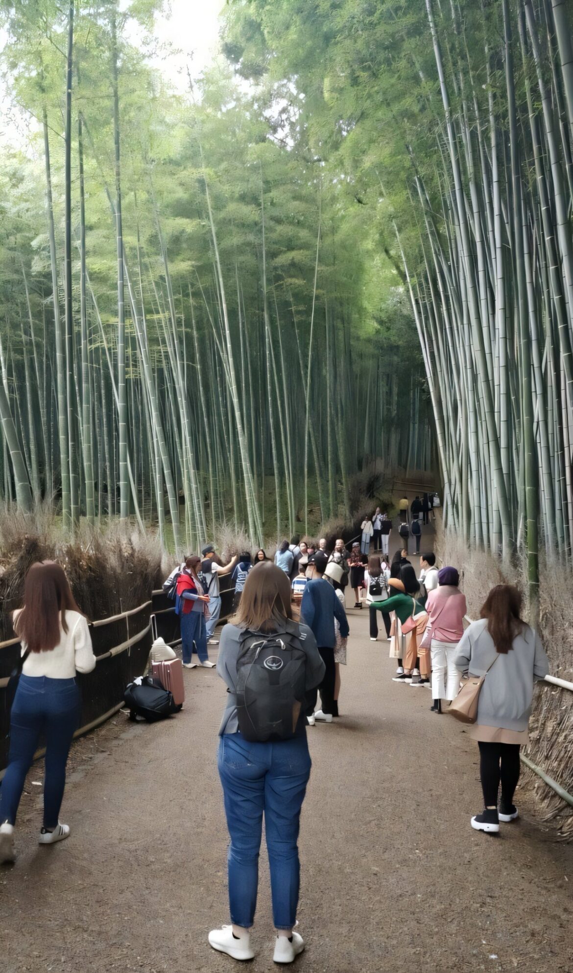 Exploring the environmental and economic impact of COVID-19 on Japan’s tourism industry Exploring the environmental and economic impact of COVID-19 on Japan's tourism industry