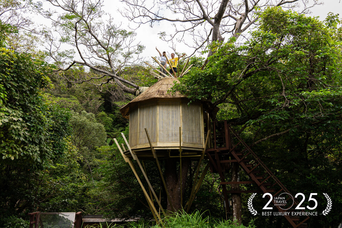 These are the 11 award-winning travel experiences in Japan for 2025 These are the 11 award-winning travel experiences in Japan for 2025