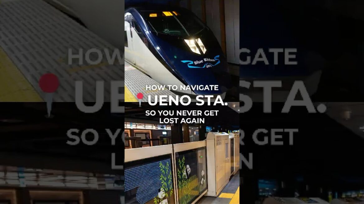 Navigating Ueno Station *Narita Arrival* #shorts  #japantravel #tokyo