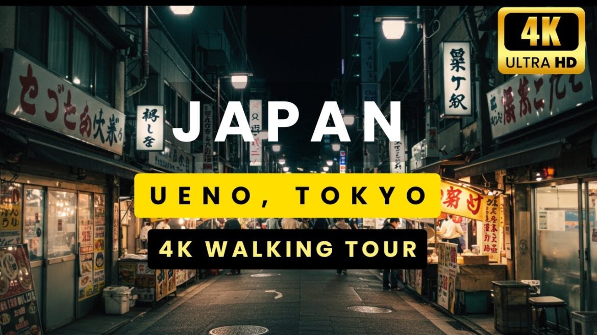 Tokyo MUST See, Exploring Ueno Night Walking Tour (4K Ultra HD) Tokyo MUST See, Exploring Ueno Night Walking Tour (4K Ultra HD)
