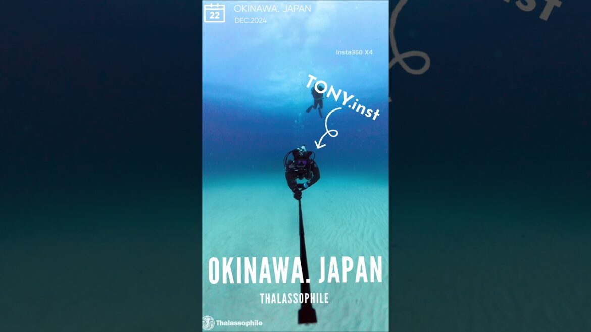 TEAM THALASSOPHILE 24.12 OKINAWA