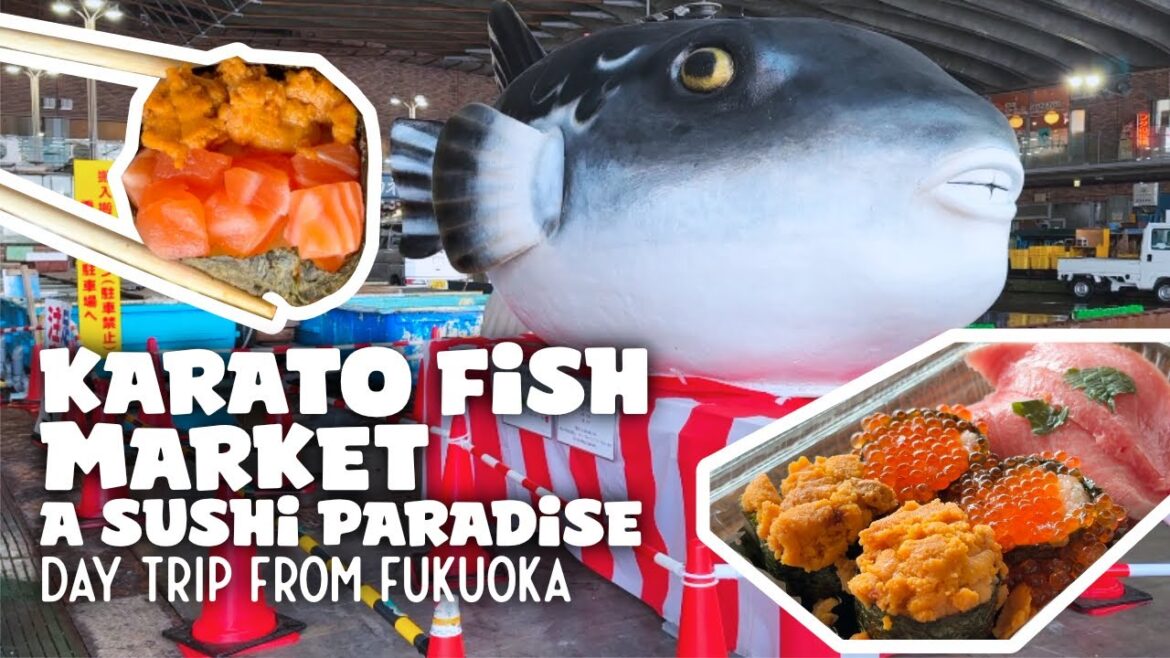 Day Trip from Fukuoka to Karato Fish Market – A Sushi Paradise 🇯🇵🍣 Day Trip from Fukuoka to Karato Fish Market - A Sushi Paradise 🇯🇵🍣