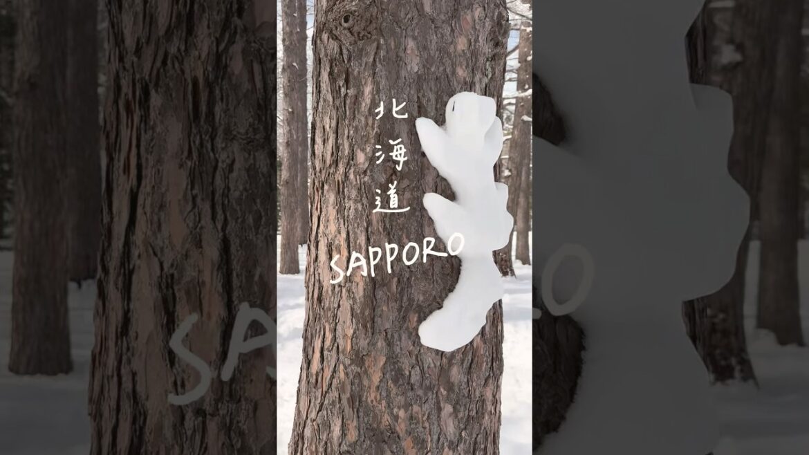 Spring trip in Japan 🇯🇵 #hokkaido  #sapporo #snow