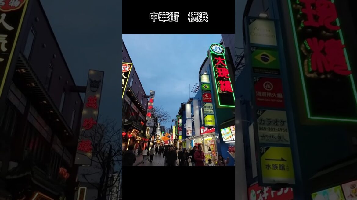 Yokohama Chukagai |横浜中華街| Dạo một vòng khu phố người Hoa lớn nhất Nhật Bản tại Yokohama. #shorst Yokohama Chukagai |横浜中華街| Dạo một vòng khu phố người Hoa lớn nhất Nhật Bản tại Yokohama. #shorst