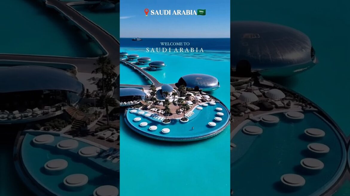 WELCOME TO KSA🇸🇦,MALDIVES🇲🇻, SCOTLAND🏴󠁧󠁢󠁳󠁣󠁴󠁿,JAPAN 🇯🇵,ICELAND 🇮🇸,LONDON🇬🇧