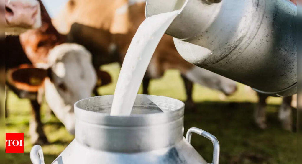 What is Hokkaido milk, its benefits, and why is it being loved globally