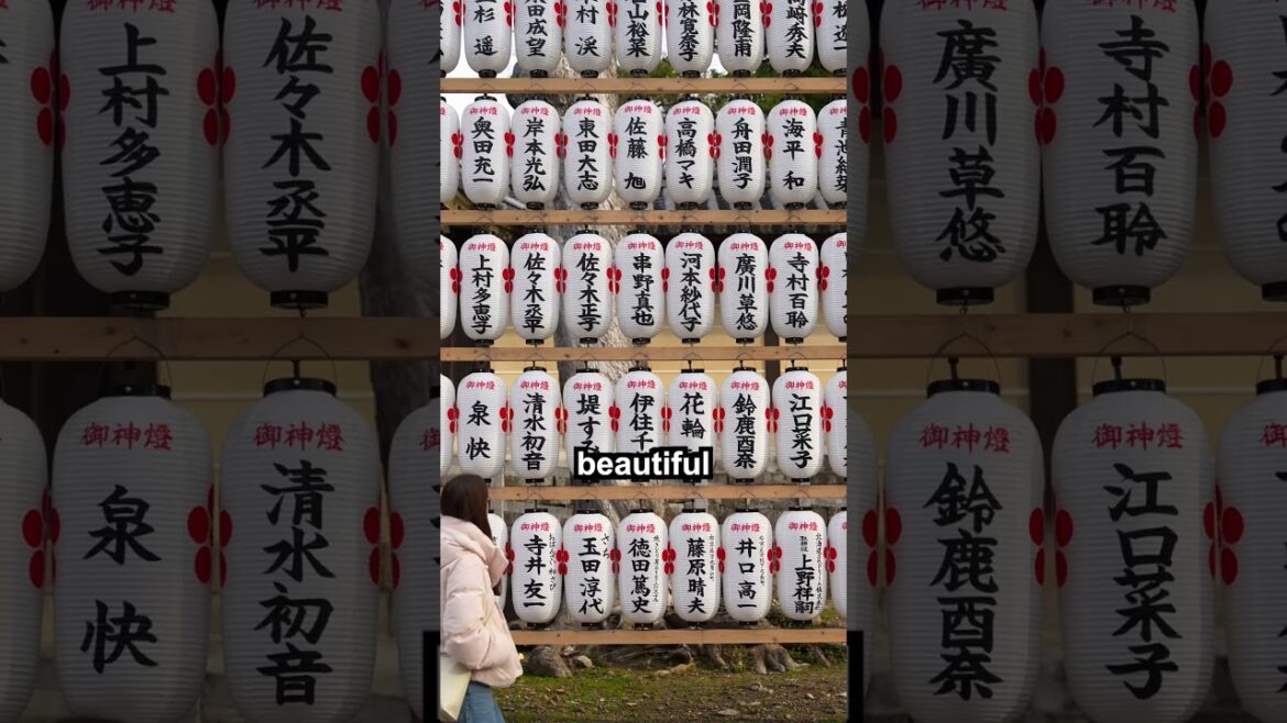 The best time to visit Kitano Tenmangu Shrine in Kyoto ๐ธ The best time to visit Kitano Tenmangu Shrine in Kyoto ๐ธ