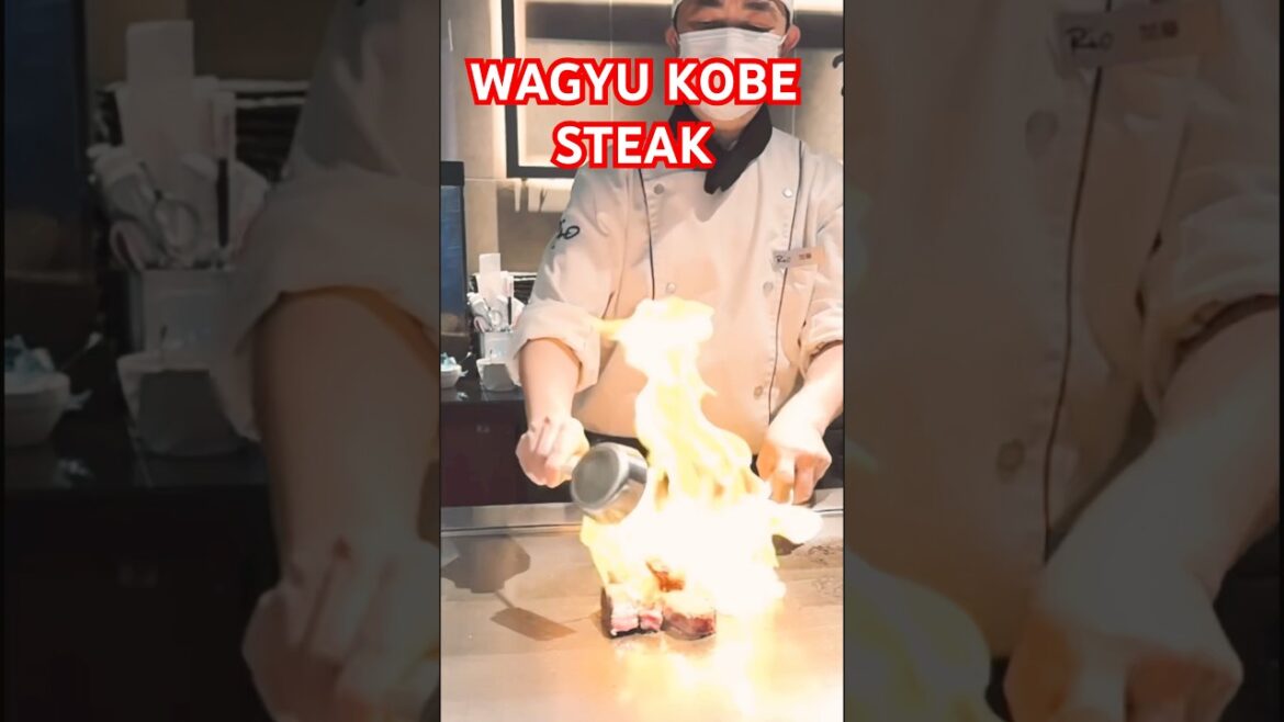 Wagyu Kobe steak | Dadenhabl vlog #japantravel #travel #japan Wagyu Kobe steak | Dadenhabl vlog #japantravel #travel #japan