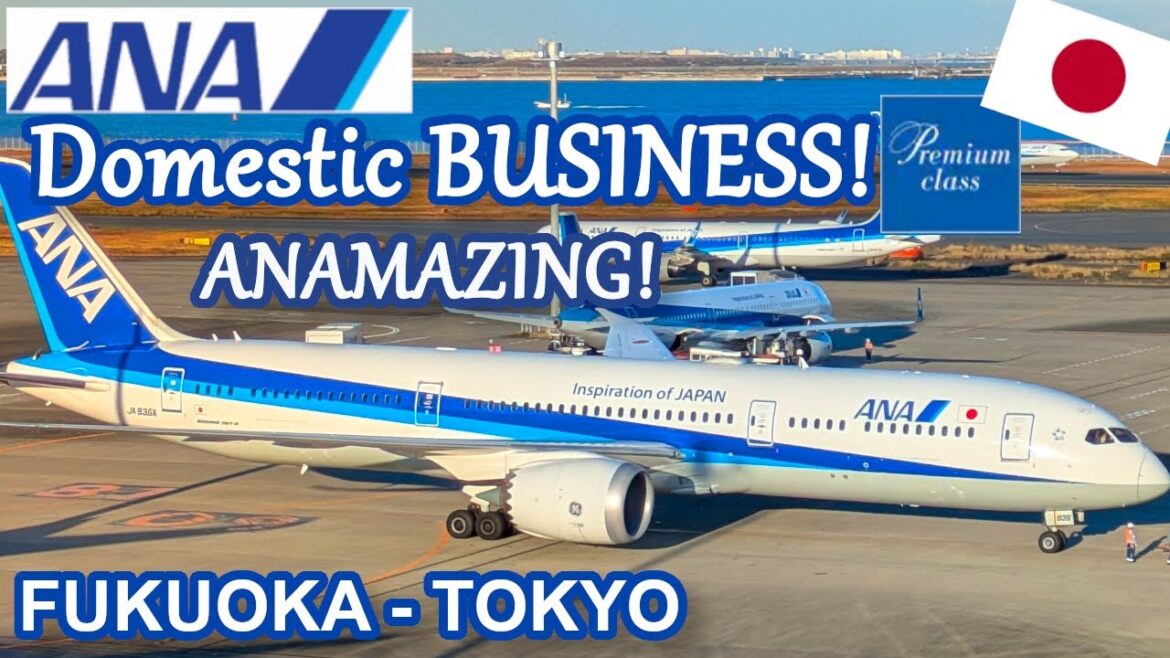 ANA's WONDERFUL PREMIUM CLASS  | DOMESTIC BUSINESS CLASS | Fukuoka to Tokyo | 787-9 Dreamliner