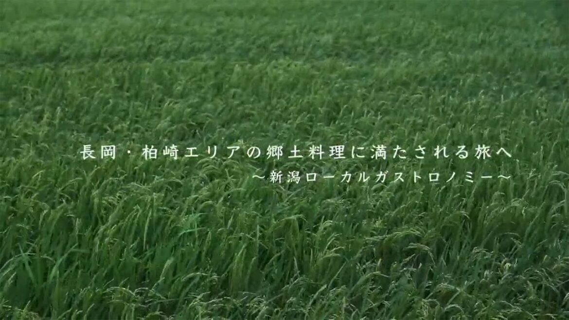 長岡柏崎エリアの郷土料理に満たされる旅へ ～新潟ローカルガストロノミー～