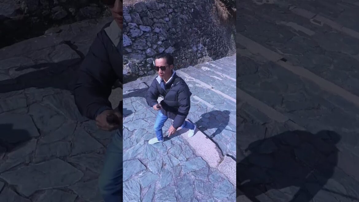 Exploring Wakayama Castle #shorts #japanvlog #travel