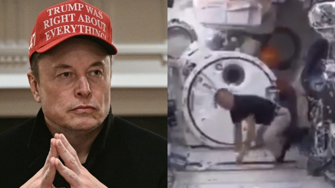 Elon Musk reacts as Japanese astronaut plays solo baseball in space. Video | Trending Elon Musk reacts as Japanese astronaut plays solo baseball in space. Video | Trending