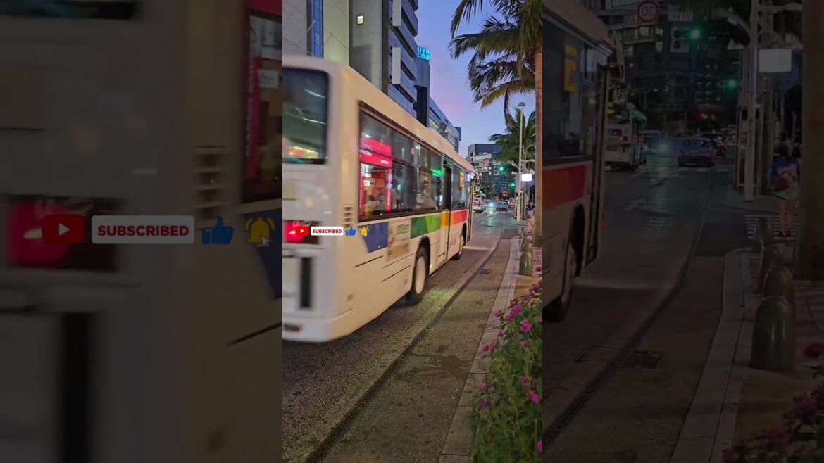 OKINAWA ...JAPAN WALKING TOUR DAY AND RELAXZZ #travel