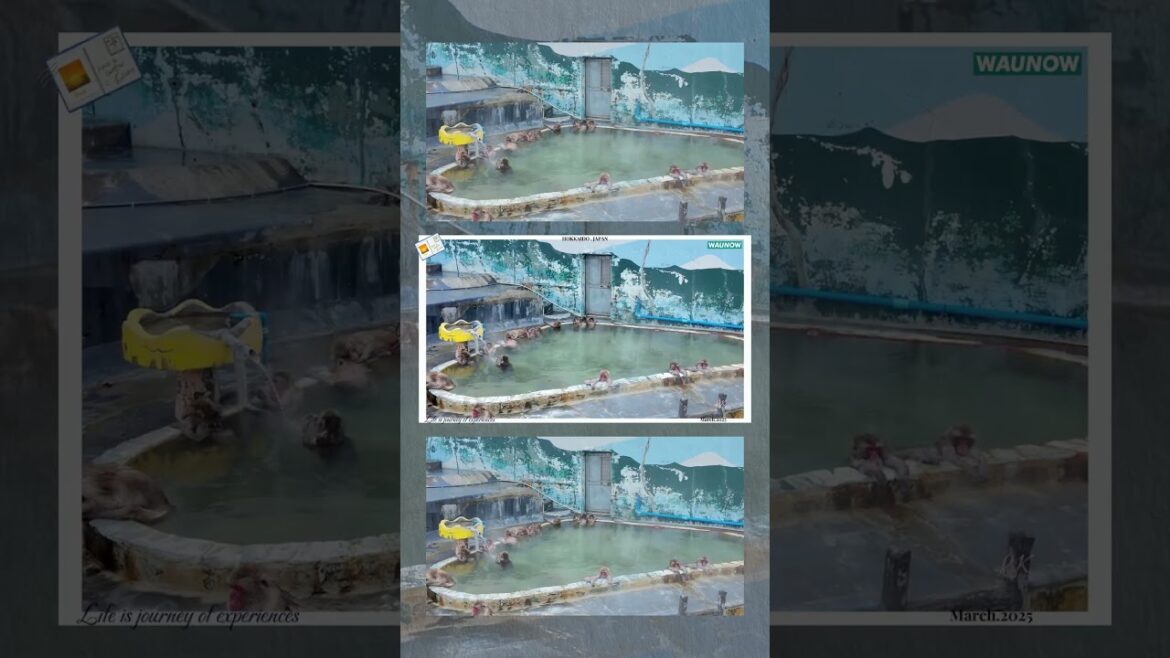 Winter Hokkaido is Magical – step onto the snowy path, and feel the adventure Winter Hokkaido is Magical - step onto the snowy path, and feel the adventure