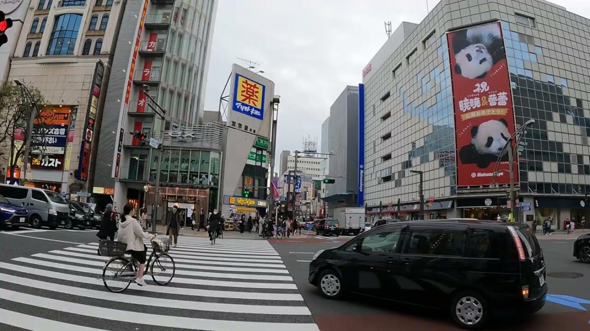 Relaxing Bike Ride from Ueno to Tokyo Station in Spring Pt.5 | Tokyo Japan, ASMR 4K | VXT TRAVEL Relaxing Bike Ride from Ueno to Tokyo Station in Spring Pt.5 | Tokyo Japan, ASMR 4K | VXT TRAVEL