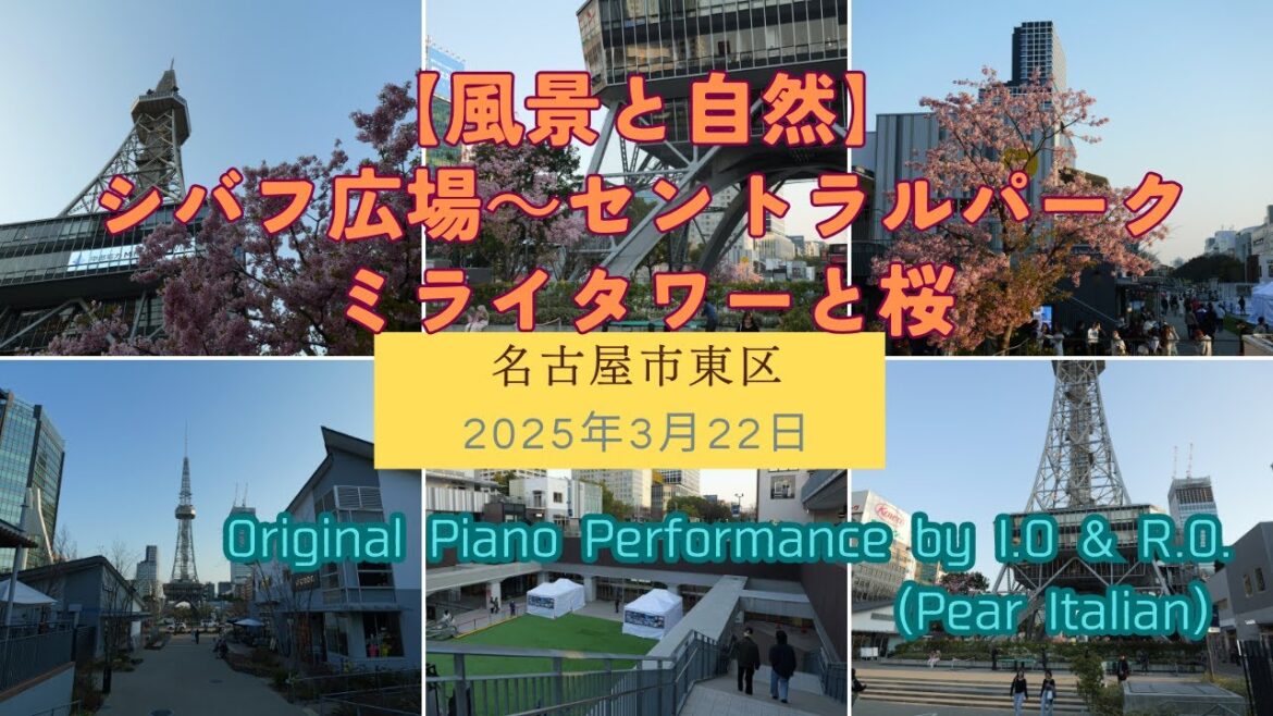 【風景と自然】久屋大通公園 ミライタワー 夕景 さくら 2025年3月22日　Hisaya Odori Park, from the north end to Mirai Towe