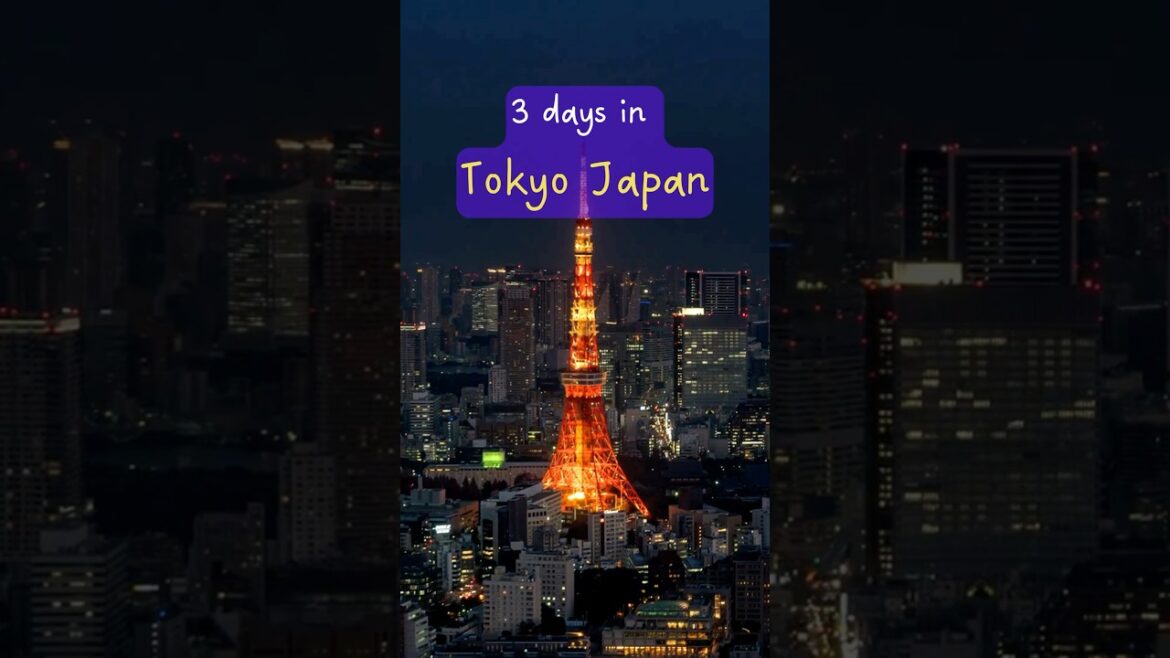Tokyo Japan | Tokyo 3 Days Itinerary | Things to do in Tokyo Japan | Tokyo Travel Guide