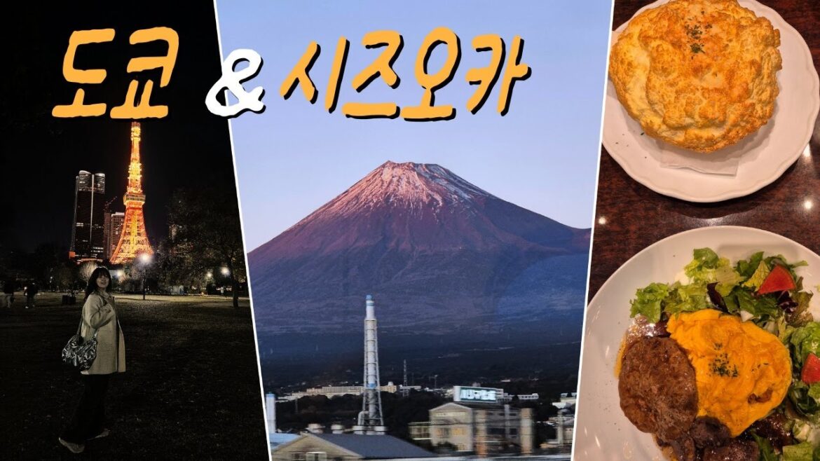 긴자 주변, 시즈오카 가볼 만한 곳🙋♀️| 후지산 잘 보이는 곳?🗻 |도쿄  숙소 두 곳 리뷰🏨 | 맛집 & 카페🥐 긴자 주변, 시즈오카 가볼 만한 곳🙋♀️| 후지산 잘 보이는 곳?🗻 |도쿄  숙소 두 곳 리뷰🏨 | 맛집 & 카페🥐