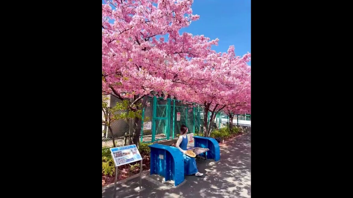 Tokyo #travel #norwegianarchipelago #tokyo #japan  #lofotenislands #drone #facts