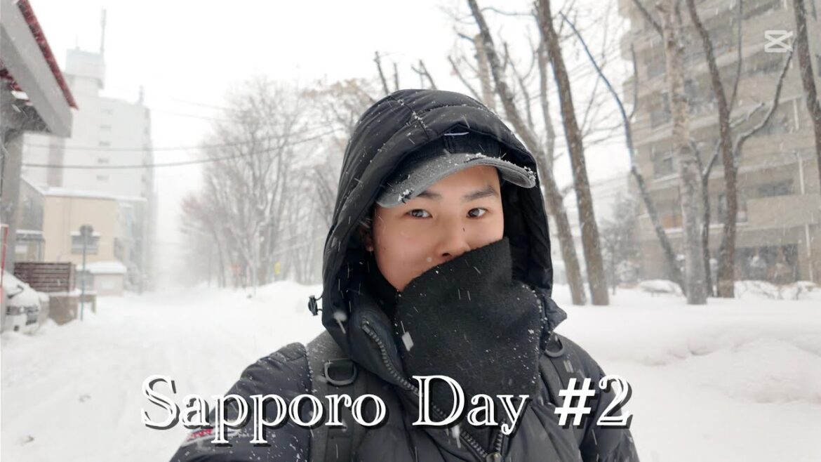 Zu tode erfrieren für Ramen  Vlog #6