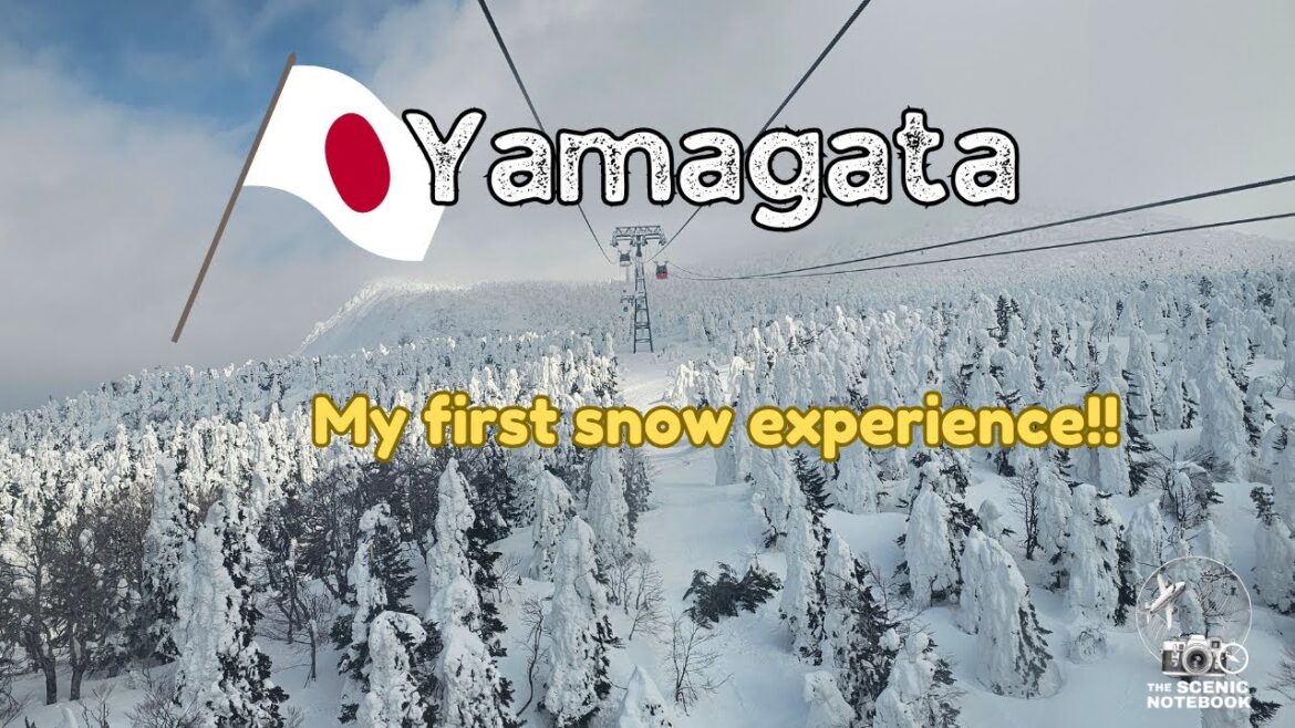 I Experienced MY FIRST SNOW at Zao Onsen Ski Resort Peak!