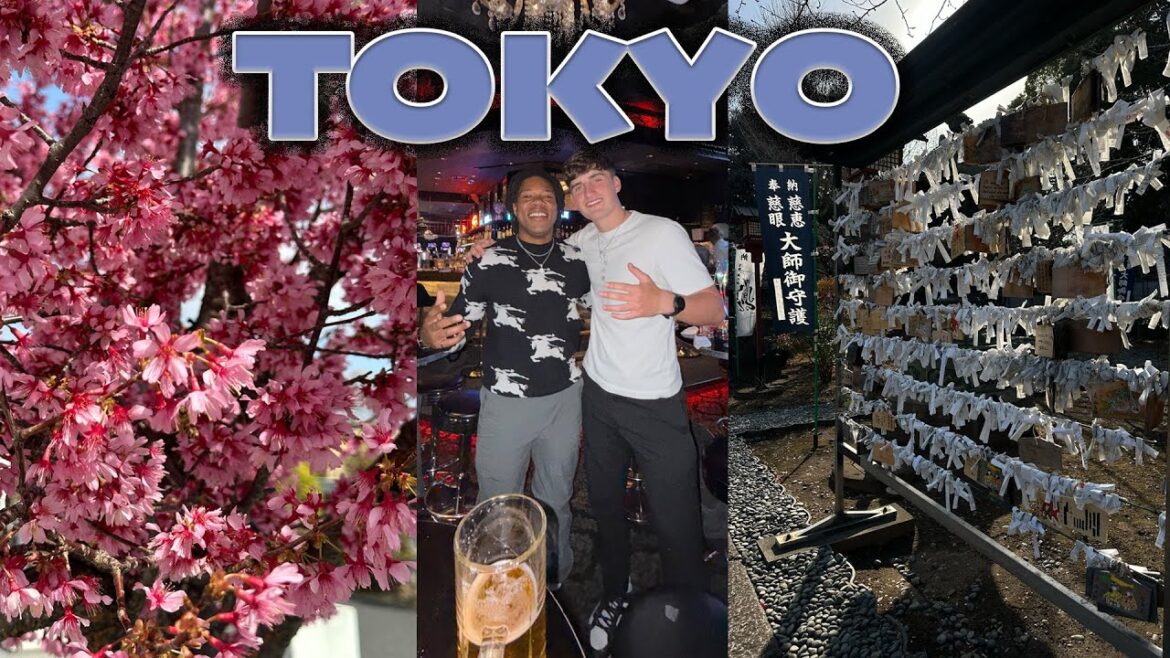 Exploring Tokyo Day & Night! Tokyo Travel Vlog! Japan Travel Vlog! Check out the boys! -@GTCVlogs Exploring Tokyo Day & Night! Tokyo Travel Vlog! Japan Travel Vlog! Check out the boys! -@GTCVlogs