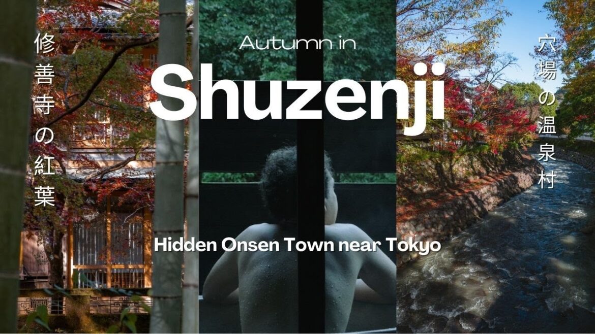 2 Days in a Hidden Hot Spring Town near Tokyo (Autumn colors in Shuzenji Onsen) 10+ spots for you!